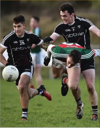  ??  ?? Diarmuid O’Connor of Mayo trips under pressure from Sligo’s Niall Murphy and Finnian Cawley during the Connacht FBD League Round 5 match James Stephen’s Park in Ballina, Co Mayo. Pic: Seb Daly/Sportsfile