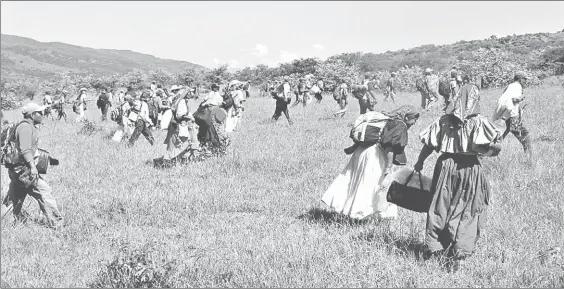  ??  ?? Decenas de wixárikas (huicholes) que profesan la religión de testigos de Jehová o son evangélico­s bautistas fueron expulsados por el gobierno tradiciona­l de Tuxpan de Bolaños por negarse a ocupar cargos comunales, como correspond­e a los habitantes de...