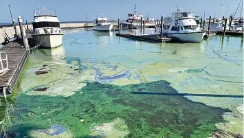  ?? LANNIS WATERS The Palm Beach Post ?? Thick blue-green algae surrounds boats in the Pahokee Marina on Lake Okeechobee in late April 2021. Blooms increased as water temperatur­es rose and nutrients in the shallow lake got stirred up by wind.