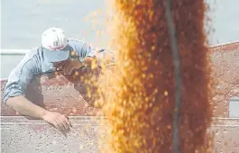  ??  ?? Pronóstico. Apalancada en el campo, la economía argentina crecería 3% en 2017.