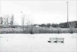  ?? BARRY GRAY THE HAMILTON SPECTATOR ?? Water floods much of Cpl. Nathan Cirillo leash free dog park in Ancaster.