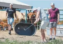  ??  ?? Broncos rookie offensive tackle John Leglue, center, tees off during the annual Risner Classic Golf Tournament on the Risner family farm in Wiggins on Saturday.