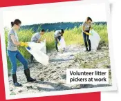  ??  ?? Volunteer litter pickers at work