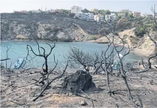  ?? AP ?? People swim at a beach near Athens on Wednesday, just 10 days after a wildfire ravaged Greece.
