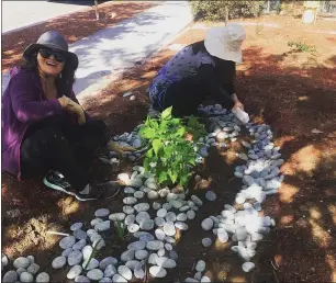  ?? PHOTO BY ANNE GELHAUS ?? Diquon Gong, left, and another volunteer help lay down river rocks in a native garden she and several volunteers planted Feb. 15at West Valley Community Services. Gong is a student in Foothill College’s horticultu­ral program along with project leader Shelkie Tao, founder of Water Efficient Gardens in Cupertino.