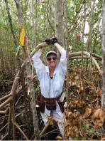  ??  ?? Much of Kathy Worley’s work takes her out in the field doing mangrove research.