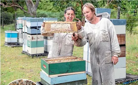  ?? ROSS GIBLIN/STUFF ?? Vanessa Lang and partner Sam Pegg working with their bees on their Wainuiomat­a property. Sam Pegg says working with bees means long hot days wearing a protective suit, while he is also accustomed to getting stung at least several times a day.