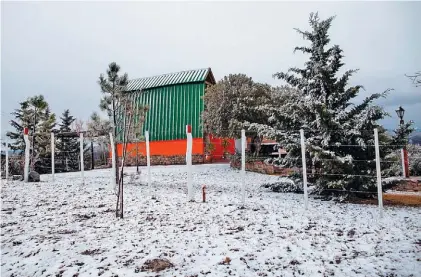  ?? / DANIEL CACERES ?? Manto blanco. La primera nevada del año sorprendió ayer a los cordobeses y cubrió la zona serrana.