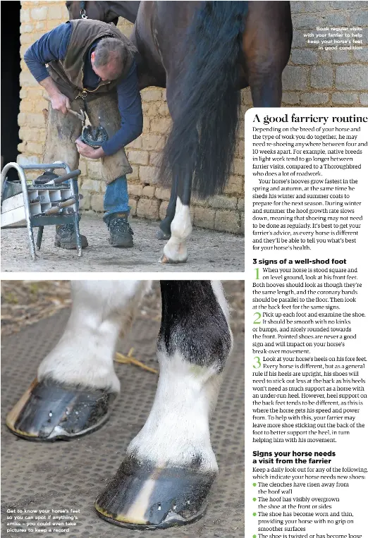 Help your horse’s hooves PressReader