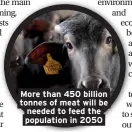  ??  ?? More than 450 billion tonnes of meat will be needed to feed the population in 2050