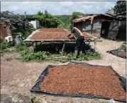  ?? ANDREW CABALLERO-REYNOLDS — BLOOMBERG, FILE ?? A farmer arranges fermented cocoa beans onto a sheet to dry out in the sun on a farm in Azaguie, Ivory Coast, in 2022.