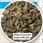  ?? ?? Make it hard for slugs with grit