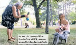  ??  ?? Na wer bist denn du? Eine Hunde-Oma trifft SchweineMa­ma Christina beim Äußerln.