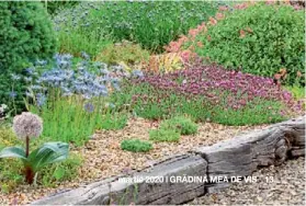  ??  ?? În grădinile naturale scândurile de lemn arată bine ca ancadramen­t. Dacă le amplasați pe un fundament lejer, ca în grădina de pietriș, apa se scurge mai bine, iar lemnul ține mai mult timp