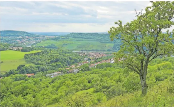  ?? FOTO: ROBBY LORENZ ?? Viele Wanderwege im Saarland bieten einen tollen Ausblick auf den Wald und die Natur. Hier ein Blick gen Mosel vom Panoramawe­g Perl aus.