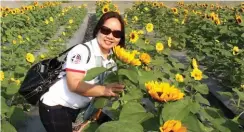  ??  ?? Rosalie P. Lacson in the sunflower seed production plantation in Taiwan.