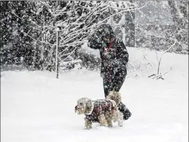  ?? MATT SLOCUM / ASSOCIATED PRESS ?? A woman in Springfiel­d, Pa., walks her dog Wednesday during a snowstorm. Asecond nor’easter in less than a week brought heavy snow to Pennsylvan­ia, New York, New Jersey and New England.