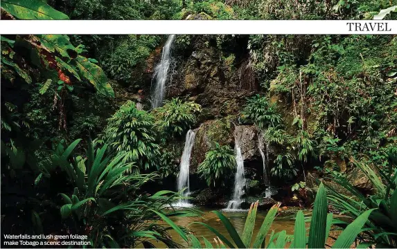  ??  ?? Waterfalls and lush green foliage make Tobago a scenic destinatio­n