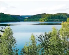  ?? FOTO: FEIS/GEMEINDE NONNWEILER ?? Teil einer Wasserwend­e? Die Nonnweiler Talsperre könnte die Versorgung in saarländis­chen Kommunen absichern.