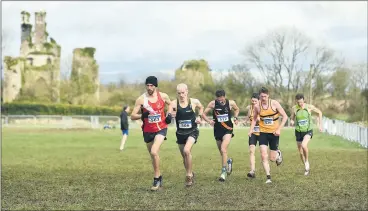  ?? (Photo: Sam Barnes/Sportsfile) ?? Leading the way during the masters men’s 7,000m event in Castlelyon­s on Sunday, during the national Cross Country Championsh­ips.