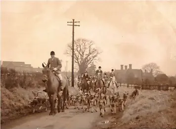  ??  ?? The pack is led along a country lane