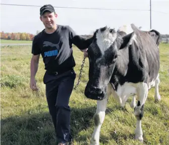  ??  ?? Arnolait Metro Chalu, de Bernhard et Emma Arnold, aura 18 ans le 30 octobre prochain. À raison de deux traites quotidienn­es, cette vache d’exception serait la plus productive de tous les temps avec 203 029 litres de lait à ce jour… et ce n’est pas fini.