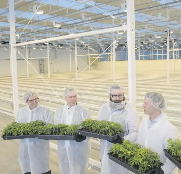 ?? SHAUGHN BUTTS ?? Holding trays of newly introduced mother plants Monday at the $120-million Aurora Sky marijuana growing facility near the Edmonton airport are, from left to right, Tom Ruth, president and CEO, Edmonton Internatio­nal Airport, Economic Developmen­t and...
