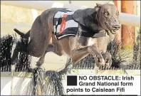  ??  ?? NO OBSTACLE: Irish Grand National form points to Caislean Fifi