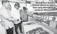  ??  ?? MUSA (dua dari kiri) melihat pameran spesis ikan yang ditangkap di perairan Menumbok.