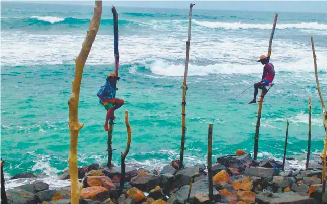  ?? PHOTOS CAROLYNE PARENT ?? Les pêcheurs se juchent sur leurs perchoirs à l’aube ; les « poseurs » s’y installent l’après-midi pour gagner quelques roupies. Indissocia­ble de la destinatio­n...