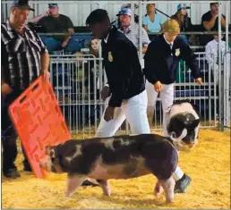  ?? PHOTOS SUBMITTED ?? Willits FFA North Coast Region Officer Zeontrey Henson and his pig Ruby.