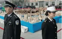  ?? Vincent Yu/The Associated Press ?? Customs officers guard a large collection of illegal ivory before it was crushed in China last month