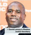  ??  ?? > David Lammy is Shadow Justice Secretary