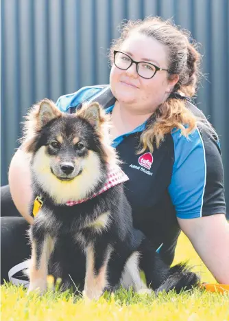  ?? ?? Emily Rose Brown with little Eevie, a finnish lapphund that has recently recovered from a bout of kennel cough. Picture: Glenn Hampson