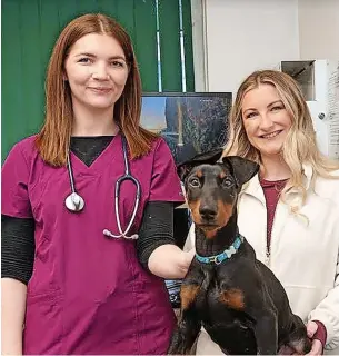  ?? ?? ●●Vet Hannah Darke, from Armac Vets with Doberman pup, Blue and his owner, Danielle Hargreaves.