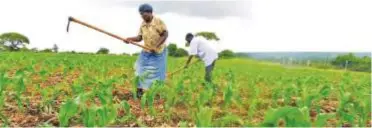  ??  ?? Agricultur­e is a priority and the engine for the economic developmen­t of the country