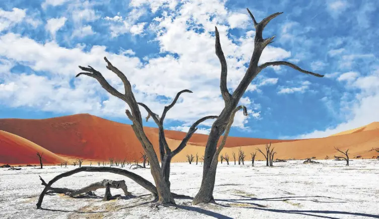  ?? FOTOLIA ?? Das Deadvlei im Namib-Naukluft-Nationalpa­rk ist einer der fasziniere­ndsten Orte in Namibia. Der Friedhof der Bäume ist fast 1000 Jahre alt.