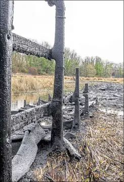  ?? Picture: Sian Pettman ?? Just 20% of the boardwalk remains