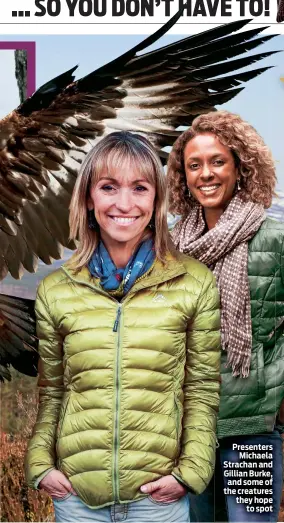  ??  ?? Presenters Michaela Strachan and Gillian Burke, and some of the creatures they hope to spot