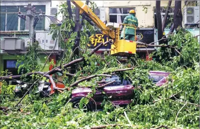  ?? YIN HAIMING / CHINA NEWS SERVICE ?? City workers clean branches and leaves from a fallen tree that hit a car on Shangpin Road, Sanya, Hainan province, on Friday. Typhoon Doksuri swept through the region scattering debris.