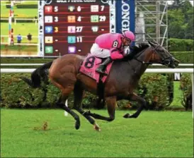  ?? PHOTO SUSIE RAISHER/ NYRA ?? Ruby Notion took advantage of a smaller field and remained on the turf to capture Monday’s $200,000Caress Statkes as a 27-1entry.
