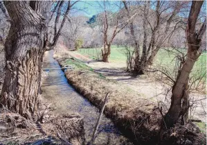  ??  ?? LEFT: The Acequia Madre del Rio Chiquito flows past green fields owned by Darryl Maestas’ father, Francisco, in Talpa.