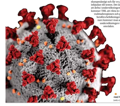  ?? SARS-COVID 2
ILLUSTRATI­ON: WIKIPEDIA/ ?? THL kartlägger spridninge­n av coronaviru­set med hjälp av ett antikropps­test.