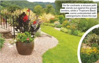  ??  ?? Go for contrasts: a sinuous path stands out against the gravel borders, while a ‘Tropicana Black’ canna underplant­ed with pelargoniu­ms draws the eye