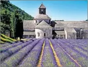  ?? PAUL ORCUTT/RICK STEVES’ EUROPE ?? Monks at Senanque Abbey in Provence divide their day between prayer and work, which includes tending their perfect rows of lavender.