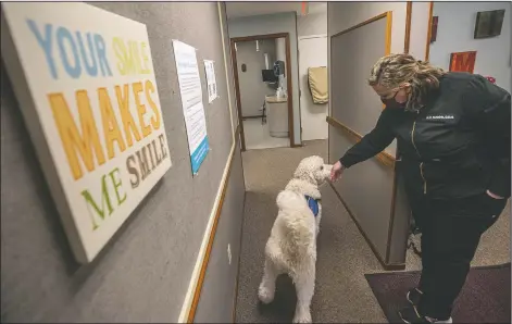  ??  ?? Dr. Katie Buskirk pets Bob as he walks around Central Illinois Smiles bringing cheer to those waiting to get dental work. “He’s kind of like a baby moose. He’s all arms and legs,” said Buskirk.