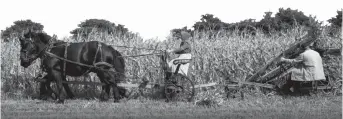  ??  ?? Outside Des Moines, Iowa, there is a living exhibit of farming “the way it used to be” in Living History Farms. You can see what they do for yourself on their website: https://www.lhf.org. This picture is taken from the website.