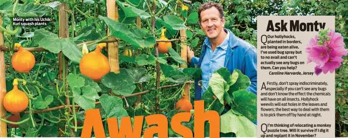  ??  ?? Monty with his Uchiki Kuri squash plants