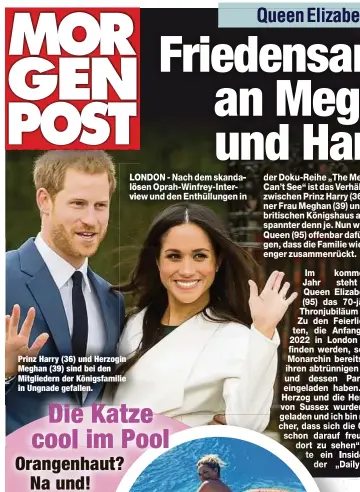  ??  ?? Prinz Harry (36) und Herzogin Meghan (39) sind bei den Mitglieder­n der Königsfami­lie in Ungnade gefallen.