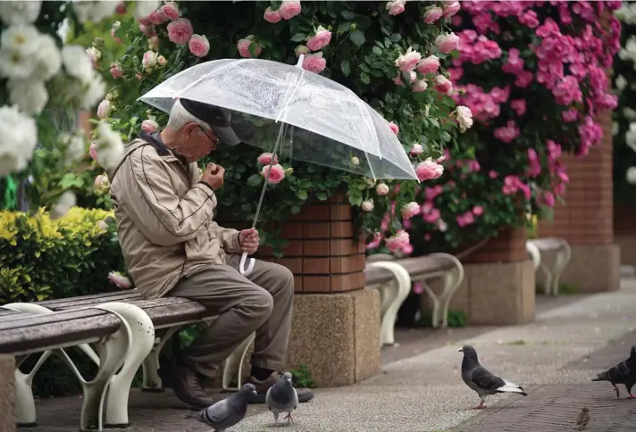  ?? ?? A man rests on a bench in the rain at a park Thursday, May 12, 2022, in Yokohama near Tokyo. Photo: AP